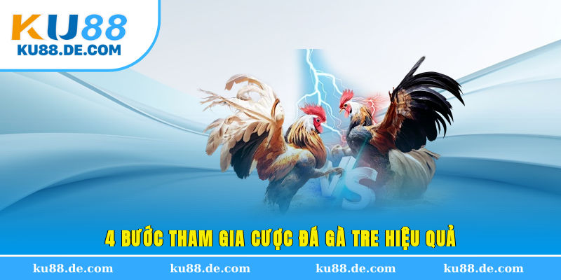 4 bước tham gia cược đá gà tre hiệu quả