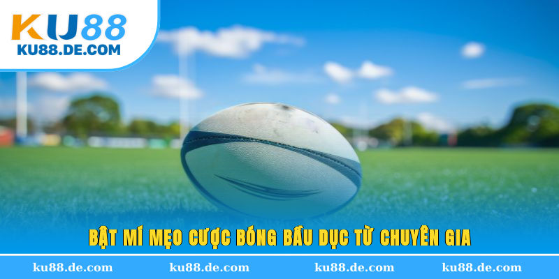 Bật mí mẹo cược bóng bầu dục từ chuyên gia