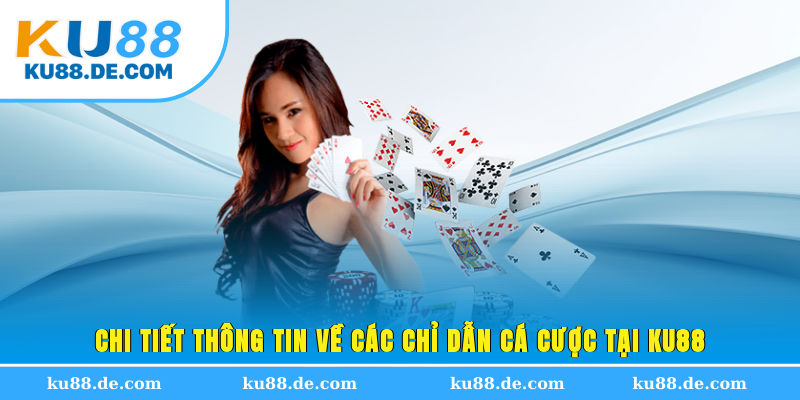 Chi tiết thông tin về các chỉ dẫn cá cược tại KU88
