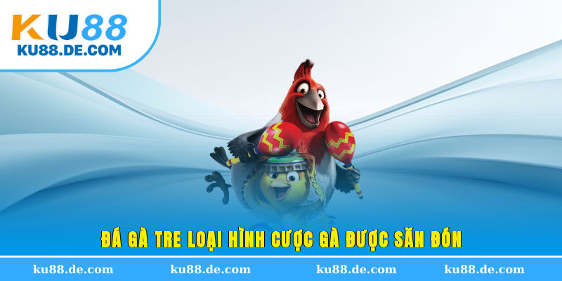 Đá gà tre loại hình cược gà được săn đón