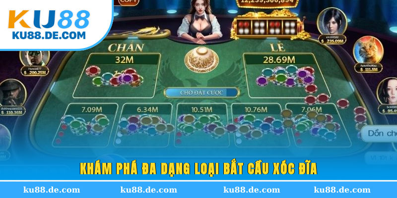 Khám phá đa dạng loại bắt cầu xóc đĩa