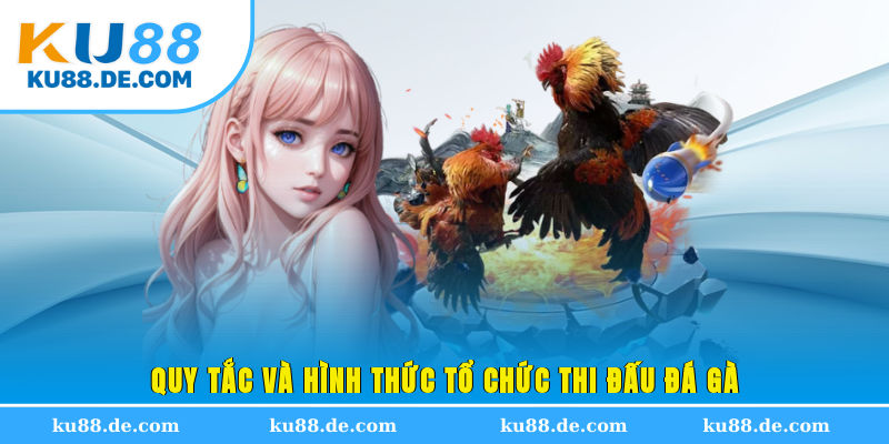 Quy tắc và hình thức tổ chức thi đấu đá gà