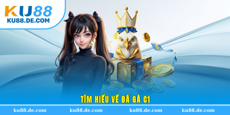 Tìm hiểu về đá gà C1